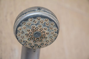 Calcified Showerhead - Kinetico Martin Water
