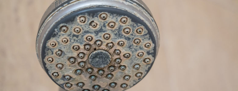 Calcified Showerhead - Kinetico Martin Water