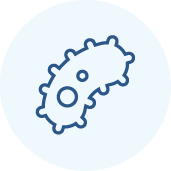 Simple blue line drawing of a bacterium with small circular shapes inside, set against a light blue circular background.