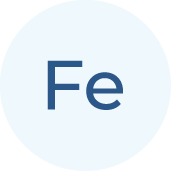 A light blue circle with the chemical symbol Fe in dark blue letters centered inside, representing the element iron.