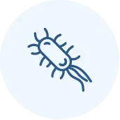 Simple line drawing of a bacterium with an oval body, multiple short protrusions around it, and two long tail-like flagella on a light blue circular background.