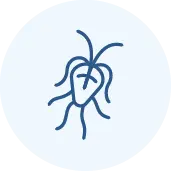 Simple blue line drawing of a microorganism with a central oval shape and multiple wavy appendages extending outward, displayed on a light blue circular background.