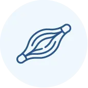 Simple blue line drawing of a muscle, showing curved lines representing muscle fibers, on a light circular background.