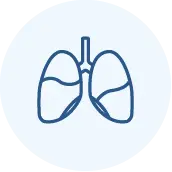 Simple blue line drawing of human lungs inside a light blue circular background.