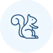 Simple blue line drawing of a squirrel with a curled tail, sitting upright on its hind legs, centered on a light blue circular background.
